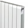 Grzejnik aluminiowy Alliance 350 2